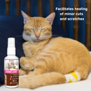 LUCAA+ Pet Probiotic Dermo Care Natural Wound Care & First Aid Spray, 100 ml-3