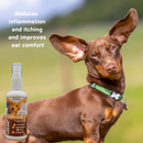 LUCAA+ Pet Probiotic Natural Ear Care Spray for Dogs, Cats & Horses (100 ml)-2