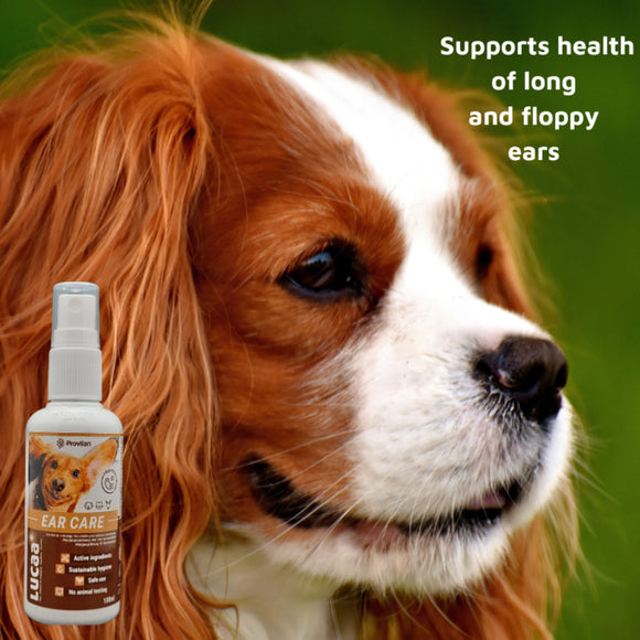 LUCAA+ Pet Probiotic Natural Ear Care Spray for Dogs, Cats & Horses (100 ml)