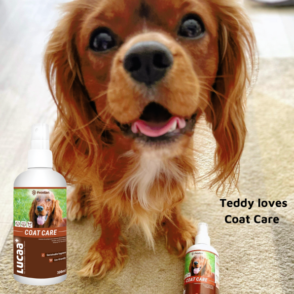 LUCAA+ Pet Coat Care Spray For Dogs, Cats & Horses (300 ml)