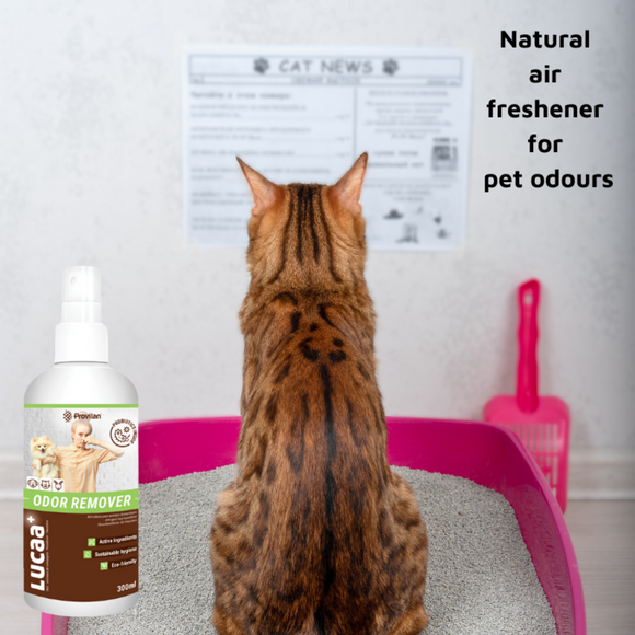 LUCAA+ Pet Probiotic Odour Remover (300 ml)