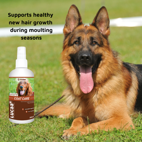 LUCAA+ Pet Coat Care Spray For Dogs, Cats & Horses (300 ml)