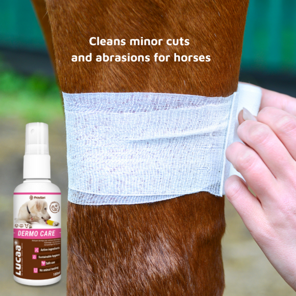 LUCAA+ Pet Probiotic Dermo Care Natural Wound Care & First Aid Spray, 100 ml