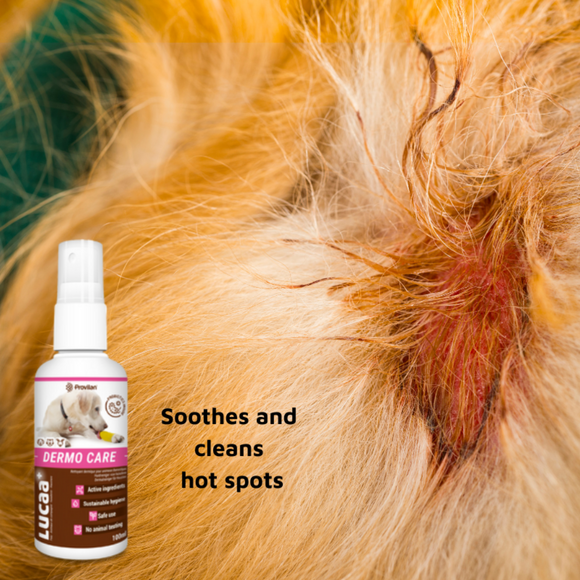LUCAA+ Pet Probiotic Dermo Care Natural Wound Care & First Aid Spray, 100 ml