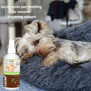 LUCAA+ Pet Probiotic Odour Remover (300 ml)-5