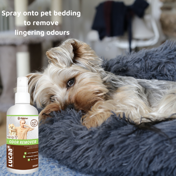 LUCAA+ Pet Probiotic Odour Remover (300 ml)