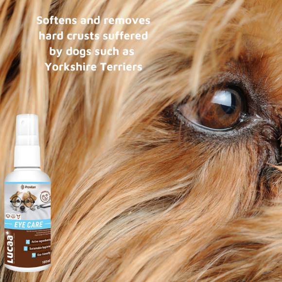 LUCAA+ Pet Probiotic Natural Eye Care Spray for Dogs, Cats & Horses (100 ml)