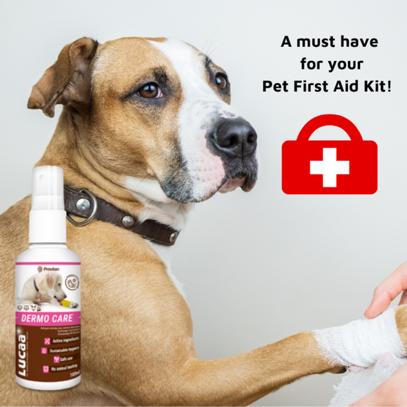 LUCAA+ Pet Probiotic Dermo Care Natural Wound Care & First Aid Spray, 100 ml