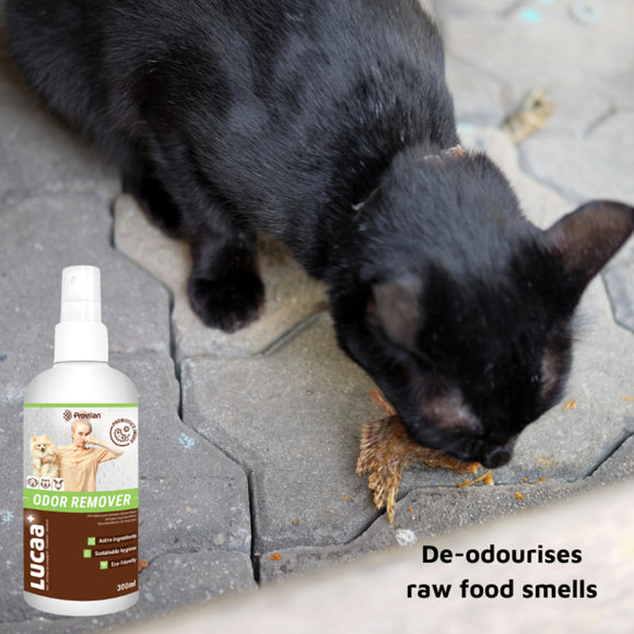 LUCAA+ Pet Probiotic Odour Remover (300 ml)