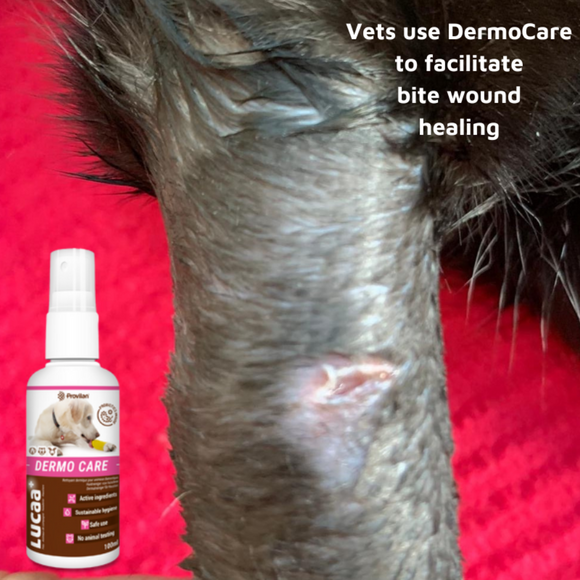 LUCAA+ Pet Probiotic Dermo Care Natural Wound Care & First Aid Spray, 100 ml