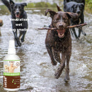 LUCAA+ Pet Probiotic Odour Remover (300 ml)-9