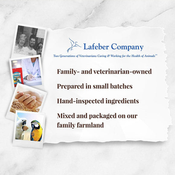 Lafeber Classic Avi-Cakes Macaw & Cockatoo Treats (1 lb)