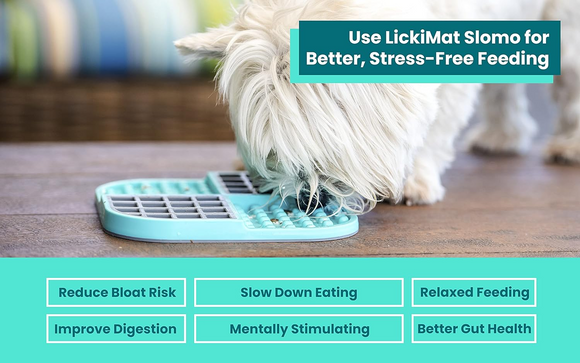 LickiMat Slomo Slow Feeding Lick Mat for Dogs
