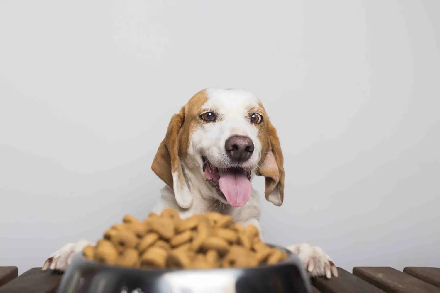7 Best Dog Food Toppers for a Happy and Healthy Dog