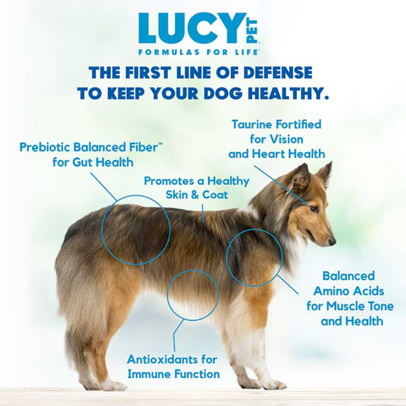 Lucy Pet Formulas For Life Limited Ingredient Chicken, Brown Rice & Pumpkin Dry Dog Food