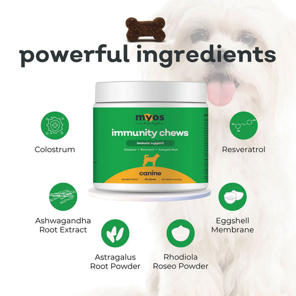 MYOS Canine Immunity Chews Immune Support for Dogs