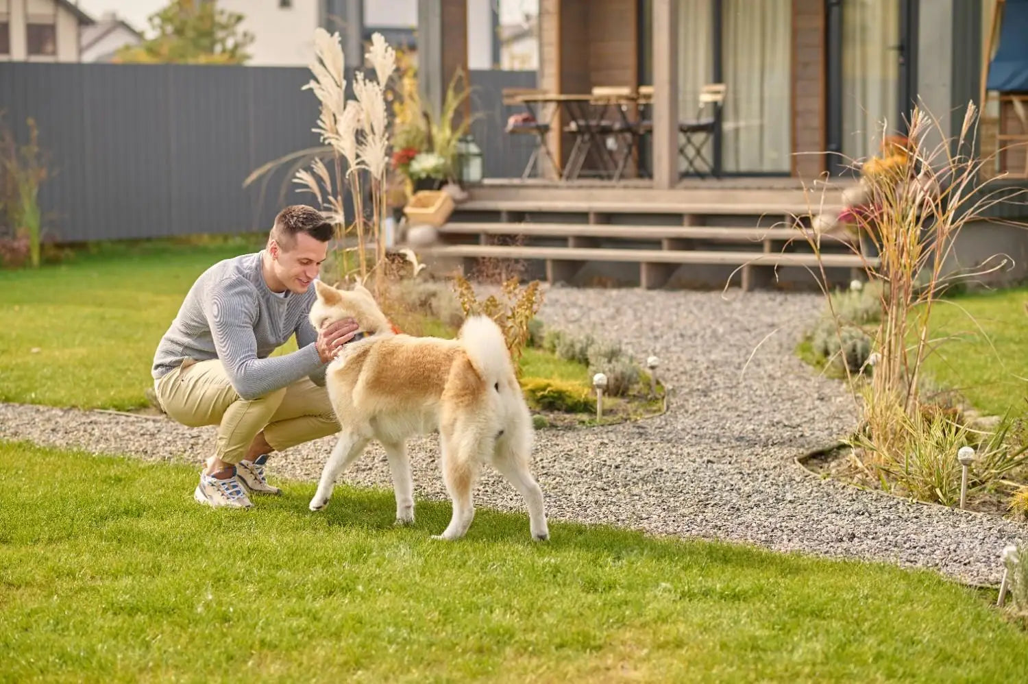 Maximize Parasite Control: Tips for a Pest-Free Home and Yard