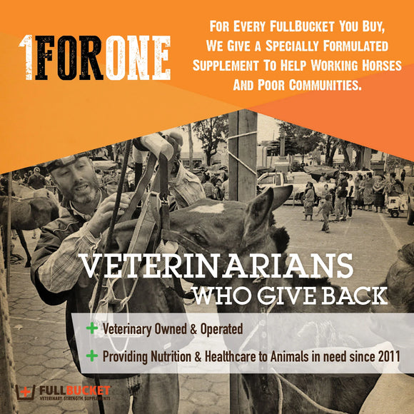 Fullbucket Medical Muscle Recovery, 450gm