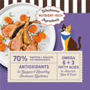 Merrick Purrfect Bistro Grain Free Pasture-Raised Lamb & Carrots Recipe Dry Cat Food-3