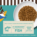 Merrick Purrfect Bistro Grain Free Wild-Caught Ocean Whitefish & Spinach Recipe Dry Cat Food-2