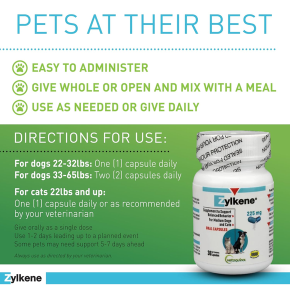 Stress and Anxiety Relief