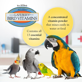 Vitamins for All Birds