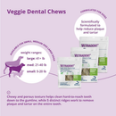 Dental Chews for Dogs