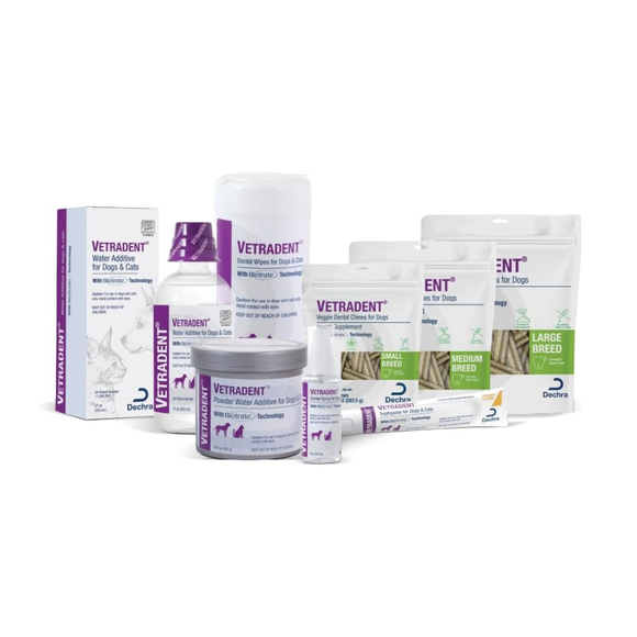 Scientifically Formulated Dental Care for Large Dogs