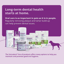 Scientifically Formulated Dental Care