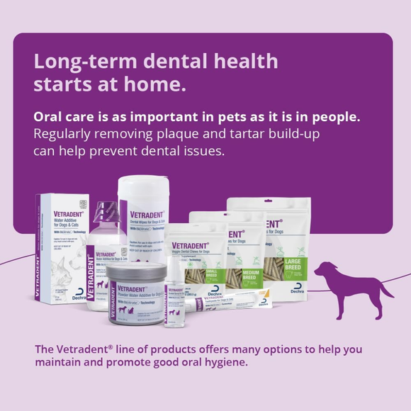 Scientifically Formulated Dental Care