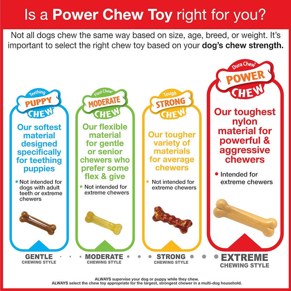 Nylabone Wishbone Dura Chew Power Chew Original Flavored Dog Toy