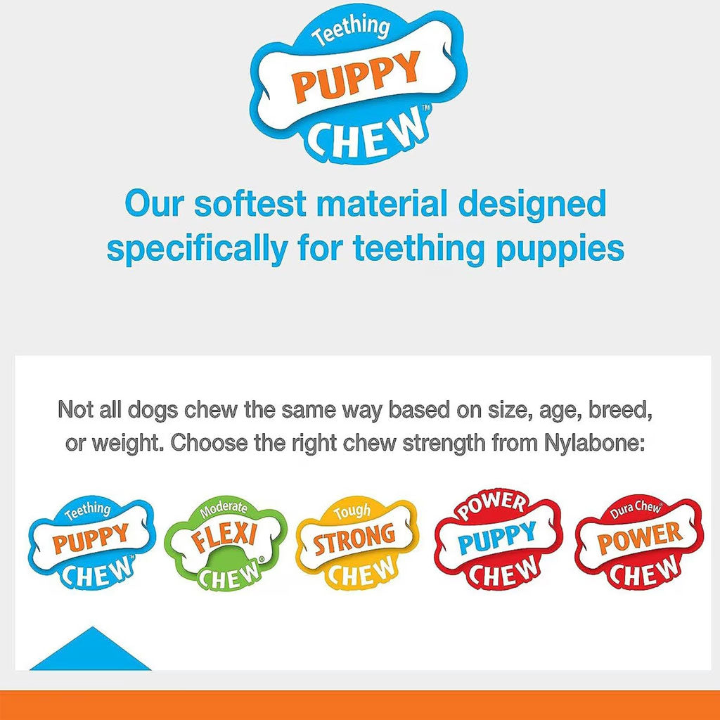 Nylabone Teething Keys Puppy Chew Bacon Flavored Dog Toy