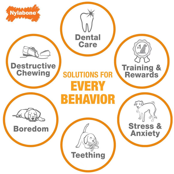 Nylabone Teething Keys Puppy Chew Bacon Flavored Dog Toy