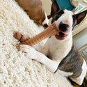 Nylabone Power Chew Durable Dog Toy Bacon Flavor