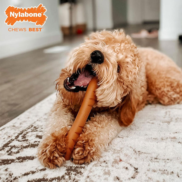 Nylabone Power Chew Baguette Dog Toy Roast Chicken Flavor