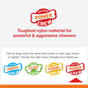 Nylabone Power Chew Basted Blast Dual Flavored Dog Chew Toys