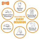 Nylabone Power Chew Braided Bully Stick Alternative Chew Toy for Dogs