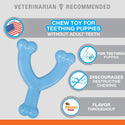 Nylabone Puppy Chew Toy Wishbone Chicken Flavor