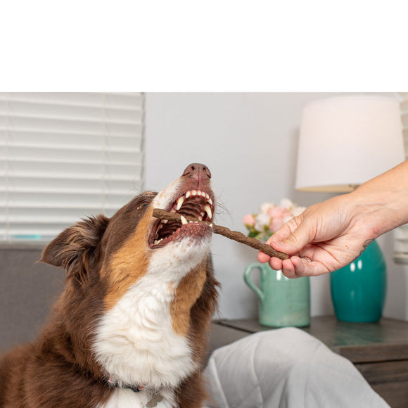 Natural Cravings Beef Sizzle Waggers Soft Jerky Sticks for Dogs