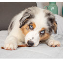 Natural Cravings USA Steer Bully Sticks Dog Chew