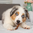 Natural Cravings USA Steer Bully Sticks Dog Chew