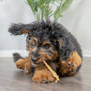 Natural Cravings USA Turkey Tendons Chew for Dogs & Cats