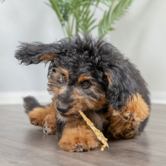 Natural Cravings USA Turkey Tendons Chew for Dogs & Cats