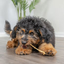 Natural Cravings USA Turkey Tendons Chew for Dogs & Cats