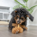 Natural Cravings USA Turkey Tendons Chew for Dogs & Cats