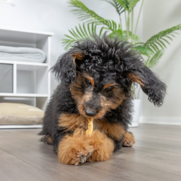 Natural Cravings USA Turkey Tendons Chew for Dogs & Cats