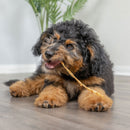 Natural Cravings USA Turkey Tendons Chew for Dogs & Cats