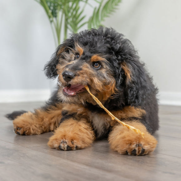 Natural Cravings USA Turkey Tendons Chew for Dogs & Cats