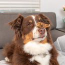 Natural Cravings USA Beef Roasters Dog Chew