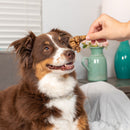 Natural Cravings USA Beef Roasters Dog Chew